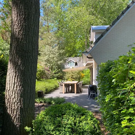 Vakantiehuis Viola Villa *