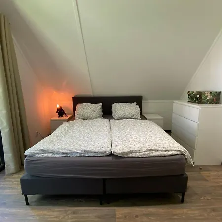 Vakantiehuis Viola Epe