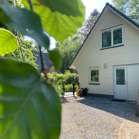 Vakantiehuis Viola Villa Epe