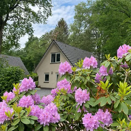 Vakantiehuis Viola Villa *