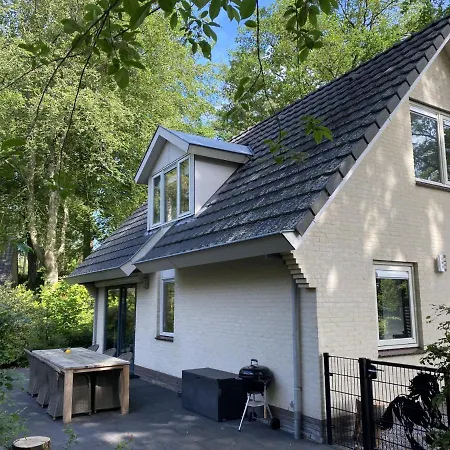 Vakantiehuis Viola Villa *